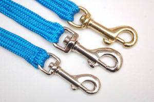 <br> Blue Webbing <br> Dog Lead