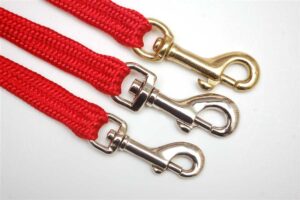 Red Webbing Dog Leads
