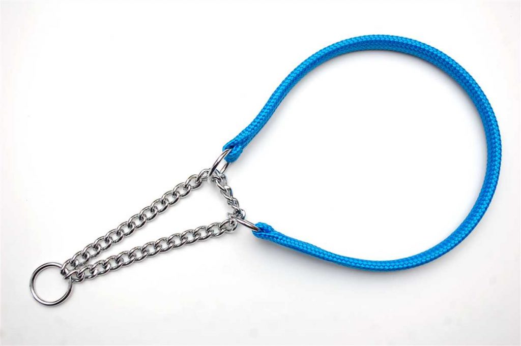 Blue HalfCheck bing Collar My Home Pet Care