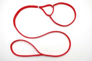 <br> Red Classic <br> Martingale Sets