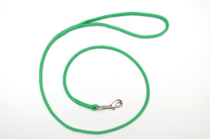 Zanylead <br> Fine Dog Lead <br> Metallic Green