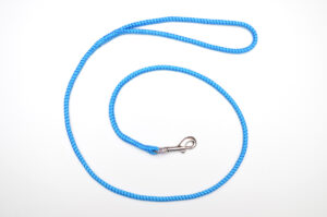 Zanylead <br> Fine Dog Lead <br> Royal Blue