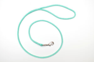Zanylead <br> Fine Dog Lead <br> Mint Green