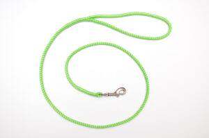 Zanylead <br> Fine Dog Lead <br> Neon Green