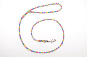Zanylead <br> Fine Dog Lead <br> Smarty