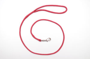 Zanylead <br> Fine Dog Lead <br> Raspberry