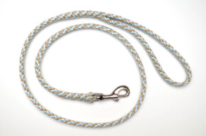 Zanylead <br> Standard Dog Lead <br> BeeBee