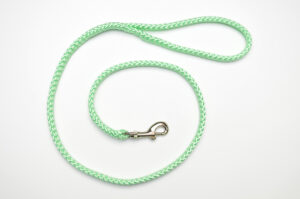 Zanylead <br> Standard Dog Lead <br> Bright Mint