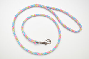 Zanylead <br> Standard Dog Lead <br> Sherbet