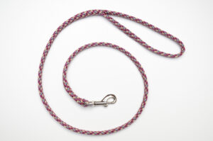 Zanylead <br> Standard Dog Lead <br> Classy