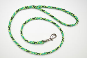 Zanylead <br> Standard Dog Lead <br> Forest