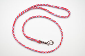 Zanylead <br> Standard Dog Lead <br> Lavender