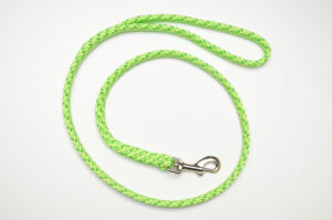 Zanylead <br> Standard Dog Lead <br> Lemon and Lime