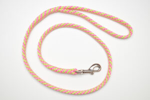 Zanylead <br> Standard Dog Lead <br> Fruit Salad