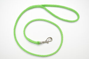Zanylead <br> Standard Dog Lead <br> Neon Green