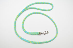 Zanylead <br> Standard Dog Lead <br> Pacific