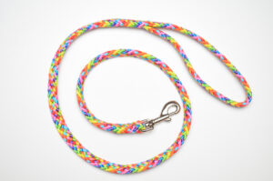 Zanylead <br> Standard Dog Lead <br> Rainbow