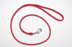 Zanylead <br> Standard Dog Lead <br> Raspberry