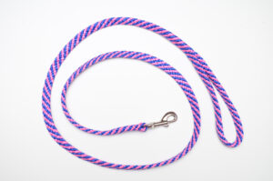 Zanylead <br> Standard Dog Lead <br> Jazzy
