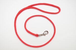 Zanylead <br> Standard Dog Lead <br> Red Berry