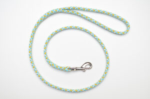 Zanylead <br> Standard Dog Lead <br> Sunshine