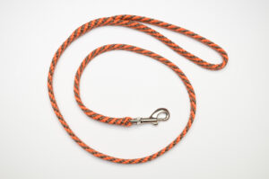 Zanylead <br> Standard Dog Lead <br> Flair