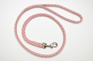 Zanylead <br> Standard Dog Lead <br> Mallow