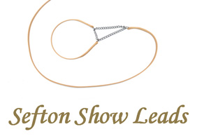 Show Leads