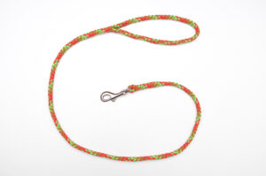 Zanylead <br> Standard Dog Lead <br> Autumn