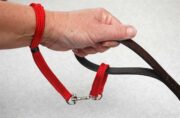 Walk-Safe on a leather dog lead